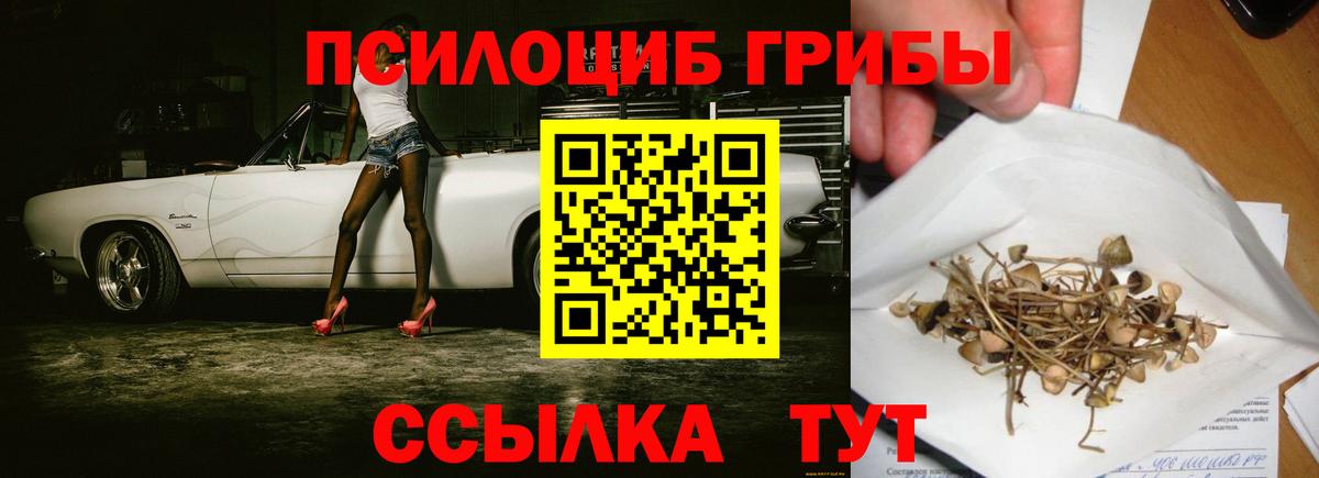 Большой Камень  Псилоцибиновые грибы прущие грибы  Вход с VPN  Псилоцибиновые грибы ЛСД 